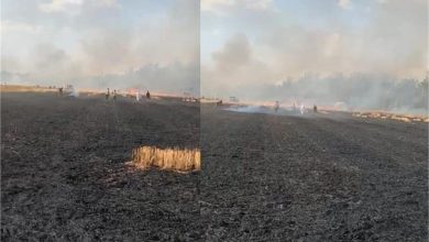 Photo of खेतों में खड़ी गेहूं की फसल में लगी आग; 40 एकड़ गेहूं की फसल जलकर राख