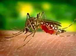 Photo of गर्मी के साथ ही बढ़ने लगा मलेरिया मच्छरों का प्रकोप, बरतें सावधानी