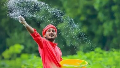 Photo of यूरिया के लिए अब किसानों को नहीं लगानी पड़ेगी लाइन? 