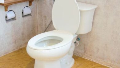 Photo of टॉयलेट करने गया था शख्‍स, अंदर बैठे चूहे ने ऐसे काटा क‍ि जाना पड़ा अस्‍पताल!