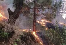 Photo of उत्तराखंड: बेकाबू हो रही आग…धधक रहे जंगल, अब वायुसेना के हेलीकॉप्टर से मदद