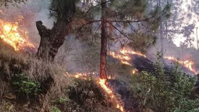 Photo of उत्तराखंड: बेकाबू हो रही आग…धधक रहे जंगल, अब वायुसेना के हेलीकॉप्टर से मदद