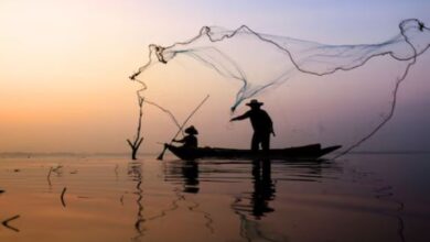 Photo of मछुआरों ने नदी में फेंकी जाल, फंसी ऐसी दुर्लभ चीज, दुनिया रह गई हैरान!
