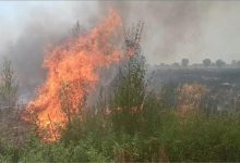 Photo of हरियाणा: गेहूं के खेत में लगी भीषण आग बुझाते समय किसान की जलने से मौत