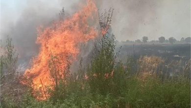 Photo of हरियाणा: गेहूं के खेत में लगी भीषण आग बुझाते समय किसान की जलने से मौत