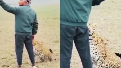 Photo of जिसे देखकर भागते हैं लोग, उसके साथ सेल्फी ले रहा है लड़का!