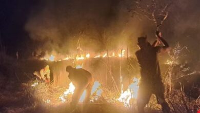 Photo of कानपुर: जंगल में अज्ञात कारणों से लगी भीषण आग, जीव-जंतु जलकर राख…