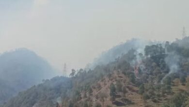 Photo of उत्तराखंड: गढ़वाल में यहां दो दिन से जल रहे जंगल, हर तरफ उठ रहा धुंए का गुबार