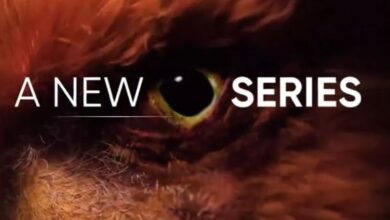 Photo of Realme ला रहा एक नई स्मार्टफोन सीरीज