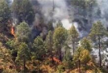 Photo of नैनीताल के जंगल में लगी भयानक आग, हाईकोर्ट कॉलोनी तक पहुंची