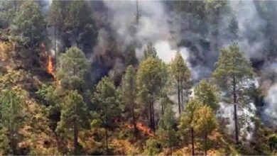 Photo of नैनीताल के जंगल में लगी भयानक आग, हाईकोर्ट कॉलोनी तक पहुंची