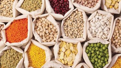 Photo of दालों की कीमतों पर लगाम लगाने की कवायद, केंद्र सरकार ने लिया एक्शन!