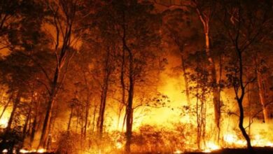 Photo of उत्तराखंड में जंगल की आग से निपटने का अभियान जारी