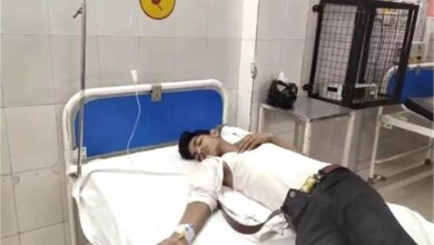 Photo of इटावा: झंडा चढ़ाने जा रहे श्रद्धालुओं पर मधुमक्खियों ने किया हमला