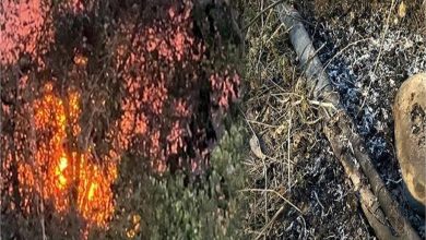 Photo of हरियाणा: पावर हाउस परिसर में अज्ञात कारणों से लगी आग