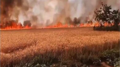 Photo of श्रावस्ती में गेहूं की खड़ी फसल को लगी आग,  700 बीघा फसल जलकर हुई राख