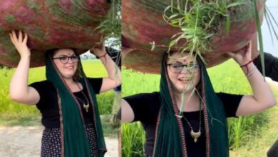 Photo of ऑस्ट्रेलिया से आई छोरी, हरियाणा के खेतों में उठा रही घास का गट्ठर!