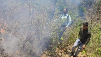 Photo of धधक रहे उत्तराखंड के जंगल, पिछले 24 घंटे में वनाग्नि की हुई 31 घटनाएं