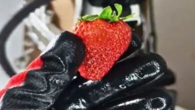 Photo of शख्स ने माइक्रोस्कोप से दिखाया स्ट्रॉबेरी, फल में नजर आईं ऐसी चीजें