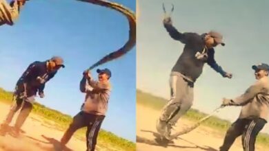Photo of ढीठ लड़कों की करतूत, सांप को बनाया रस्सी, मुंह और पूंछ पकड़कर लगे कूदने…