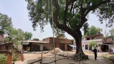 Photo of आधी रात खटाल से आ रही थी आवाजें, बाड़े में झांकने गई महिला…!