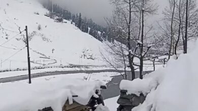 Photo of जम्मू कश्मीर: गुरेज सहित पर्वतीय इलाकों में बर्फबारी, मैदानी इलाकों में बारिश