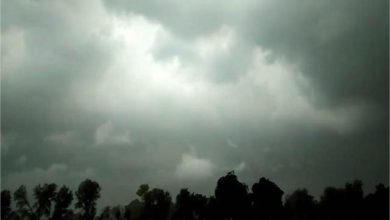 Photo of पंजाब के मौसम को लेकर आई बड़ी अपडेट
