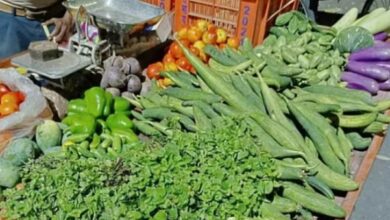 Photo of उत्तराखंड: सब्जियों के दामों में तेजी… नींबू के भाव सुन चौंक रहे हैं लोग