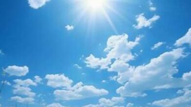 Photo of  पंजाब के मौसम को लेकर विभाग ने जारी किया नया अपडेट