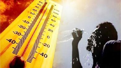 Photo of पंजाब में “लू का कहर”, भीषण गर्मी से 1 और ने तोड़ा दम