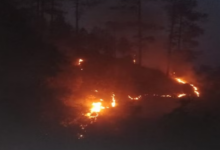 Photo of उत्तराखंड: धधक रहे कुमाऊं के जंगल, 24 घंटे में 33 जगह लगी आग