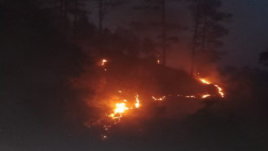 Photo of उत्तराखंड: धधक रहे कुमाऊं के जंगल, 24 घंटे में 33 जगह लगी आग