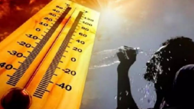Photo of पंजाब में “लू का कहर”, भीषण गर्मी से 1 की मौत