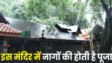 Photo of केरल के इस मंदिर में होती है नांगो की पूजा