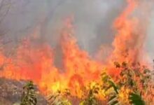 Photo of आमेर के समीप जंगल में लगी आग, दमकल गाड़ियां मौके पर पहुंची
