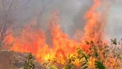 Photo of आमेर के समीप जंगल में लगी आग, दमकल गाड़ियां मौके पर पहुंची
