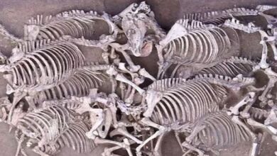 Photo of जमीन की खुदाई में मिली 2000 साल पुरानी कब्र, अंदर थे ऐसे कंकाल, एक्सपर्ट हुए हैरान