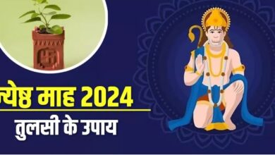 Photo of  जेष्ठ माह में करें तुलसी से जुड़े ये उपाय, दूर-दूर तक नहीं सताएगी धन की कमी