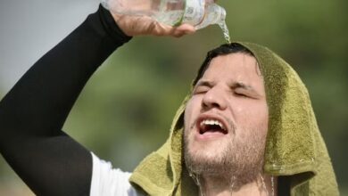 Photo of भीषण गरमी में झुलस रहे पंजाबी, बठिंडा सबसे गर्म…