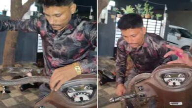 Photo of इंदौर: स्कूटी से जाना था बाहर, तभी गाड़ी में दिखी सांप की पूंछ, उड़े होश