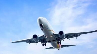 Photo of हवाई जहाज के सामने अचानक कुछ आ जाए, तो क्‍या उसे 360 डिग्री टर्न कर सकते हैं?