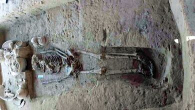 Photo of हिसार: कंकालों के DNA अर्क से मिलान को लेकर राखीगढ़ी के 12 लोगों के लिए सैंपल