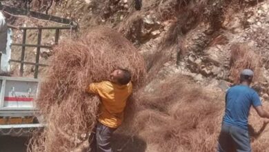 Photo of आग का कारण नहीं बल्कि आजीविका का साधन बन सकती है पिरूल, IIT वैज्ञानिकों ने तैयार की मशीन