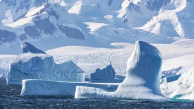 Photo of  अंटार्कटिका में पर्यटन को लेकर भारत ने जताई चिंता, कहा- बर्फीले महाद्वीप में टूरिज्म नियंत्रित करने की जरूरत