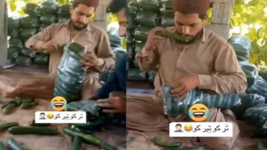 Photo of आप भी खाते हैं हरा-भरा खीरा? तो देख लें, कैसे थूक लगाकर हो रही पैंकिग