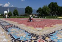 Photo of कश्मीर के कारीगरों ने हाथों से बनाया एशिया का सबसे बड़ा कालीन, आठ साल में हुआ तैयार