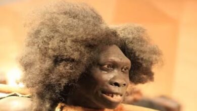 Photo of इंसान धरती पर कब और कहां से आए? दिखने में कैसे थे, क‍िस तरह हुआ इनका व‍िकास