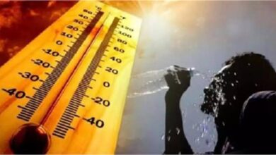 Photo of पंजाब में भीषण गर्मी का कहर जारी