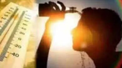 Photo of राजस्थान: 46 डिग्री के पार पहुंचा पारा, बाड़मेर सबसे गर्म