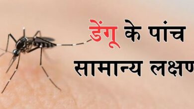 Photo of गर्मियों में बढ़ जाता है डेंगू का खतरा, इन लक्षणों से समय रहते करें इसकी पहचान